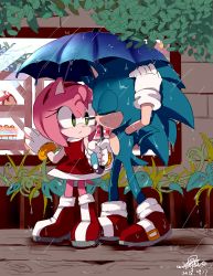 Rule 34 | 1boy, 1girl, amy rose, animal nose, boots, chinese commentary, dress, closed eyes, furry, furry female, furry male, gloves, green eyes, hairband, highres, holding, holding umbrella, outdoors, rain, red dress, red footwear, shared umbrella, sonic (series), sonic the hedgehog, umbrella, walking, wet, white gloves, ziver