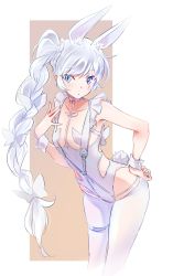 Rule 34 | 1girl, animal ear fluff, animal ears, azur lane, blue eyes, border, braid, braided ponytail, clothing cutout, collarbone, cosplay, cropped legs, crossover, fake animal ears, flat chest, frills, hand on own hip, hand up, high heels, highres, iesupa, le malin (azur lane), le malin (azur lane) (cosplay), le malin (listless lapin) (azur lane), leaning forward, leotard, long hair, multiple straps, official alternate costume, pantyhose, parted lips, playboy bunny, ponytail, rabbit ears, rabbit tail, rwby, scar, scar across eye, scar on face, side ponytail, solo, tail, unitard, very long hair, weiss schnee, white border, white footwear, white hair, white unitard, wrist cuffs