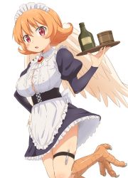 Rule 34 | 1girl, bird legs, blush, bottle, breasts, button gap, commentary request, covered erect nipples, hand on own hip, harpy, highres, ishuzoku reviewers, juliet sleeves, large breasts, long sleeves, looking at viewer, maid headdress, meidri, monster girl, open mouth, orange hair, puffy sleeves, red eyes, shirt, short hair, simple background, sincos, skindentation, solo, standing, standing on one leg, taut clothes, taut shirt, thigh strap, tray, waitress, white background, wings