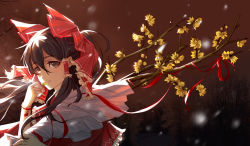 Rule 34 | 1girl, bow, bracelet, brown eyes, brown hair, forest, hair bow, hair tubes, hakurei reimu, highres, igneous25, jewelry, nature, ribbon, smelling flower, solo, touhou, twig, upper body