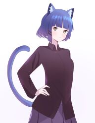 Rule 34 | 1girl, animal ear fluff, animal ears, black shirt, blue hair, blush, bocchi the rock!, breasts, brown eyes, cat ears, cat girl, cat tail, closed mouth, collared shirt, commentary, dress shirt, gradient background, grey skirt, hair ornament, hairclip, hand on own hip, highres, kemonomimi mode, long sleeves, looking at viewer, mole, mole under eye, nishiroji, pink background, pleated skirt, shirt, skirt, small breasts, solo, tail, white background, yamada ryo