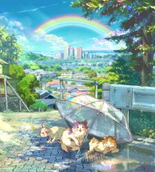 Rule 34 | blue sky, brick floor, brown fur, bug, building, butterfly, cat, city, cityscape, cloud, commentary request, dappled sunlight, day, flower, guard rail, highres, insect, licking, licking paw, no humans, original, outdoors, puddle, purple fur, railing, rainbow, reflection, reflective water, ryowelcome1, scenery, sky, sunlight, transparent, transparent umbrella, tree, two-tone fur, umbrella, water, water drop, white cat, white fur, yellow butterfly, yellow flower