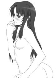 Rule 34 | 1girl, ass, blush, breasts, greyscale, kashiwagi chizuru, kizuato, long hair, medium breasts, monochrome, nude, shichimenchou, simple background, solo