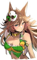Rule 34 | 1girl, ahoge, animal ears, aqua eyes, arm strap, asymmetrical sleeves, bare shoulders, brown hair, choker, commentary request, cropped jacket, cropped shirt, gold choker, green shirt, hair between eyes, hat, horse ears, horse girl, jacket, looking at viewer, mini hat, mini top hat, mr. c.b. (umamusume), navel, o-ring arm strap, shirt, simple background, single bare shoulder, sketch, sleeveless, sleeveless shirt, solo, solokitsune, tilted headwear, top hat, umamusume, upper body, white background, white hat, white jacket