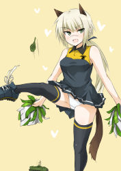 Rule 34 | 1girl, animal ears, bad id, bad pixiv id, black thighhighs, blonde hair, blush, cheerleader, dakku (ogitsune), green eyes, hanna rudel, long hair, military, military vehicle, motor vehicle, open mouth, panties, pom pom (cheerleading), ponytail, solo, strike witches, tail, tank, thighhighs, underwear, vehicle, white panties, world witches series