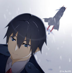 Rule 34 | 10s, 1boy, 1girl, aged down, barefoot, black cloak, black hair, blue eyes, cloak, colored skin, commentary request, couple, darling in the franxx, footprints, hetero, hiro (darling in the franxx), hood, hood up, hooded cloak, horns, long hair, military, military uniform, necktie, oni horns, parka, pink hair, raitho, red horns, red neckwear, red skin, short hair, signature, snow, uniform, zero two (darling in the franxx)