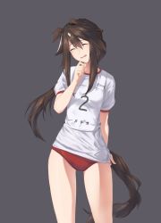 Rule 34 | 1girl, alternate costume, animal ears, arknights, brown hair, buruma, character name, closed eyes, clothes writing, commentary request, grey background, gym uniform, hair between eyes, highres, horse ears, horse girl, horse tail, long hair, meteor (arknights), multicolored hair, open mouth, ponytail, red buruma, shirt, sidelocks, simple background, solo, streaked hair, sweat, tail, tsukira (amayadori), umamusume, white hair, white shirt