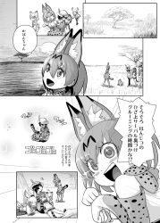 Rule 34 | 10s, 5girls, animal ears, cat ears, comic, elbow gloves, gloves, greyscale, head wings, headpat, highres, hood, hoodie, japanese crested ibis (kemono friends), kaban (kemono friends), kemono friends, long sleeves, lucky beast (kemono friends), monochrome, multiple girls, nephila clavata, open mouth, outdoors, sand cat (kemono friends), savannah, serval (kemono friends), serval print, serval tail, short hair, sky, snake tail, tail, translation request, tree, tsuchinoko (kemono friends), wings