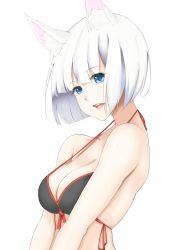 Rule 34 | 1girl, absurdres, animal ears, azur lane, bad id, bad pixiv id, bikini, blue eyes, breasts, cleavage, fox ears, front-tie top, highres, jilu, kaga (azur lane), looking at viewer, medium breasts, open mouth, pink lips, short hair, simple background, smile, solo, strap gap, swimsuit, upper body, white background, white hair
