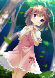 Rule 34 | 1girl, bad id, bad pixiv id, blurry, blurry background, blush, brown hair, capelet, chinomaron, commentary request, day, depth of field, dress, dutch angle, flower knight girl, forest, hair between eyes, hands up, highres, leaf, long hair, nature, outdoors, own hands together, parted lips, pink dress, purple eyes, red neckwear, signature, solo, tree, tsutsuji (flower knight girl), two side up, white capelet