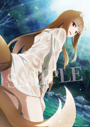 Rule 34 | 1girl, animal ear fluff, animal ears, artist request, bathing, bottomless, brown hair, collared shirt, copyright notice, cowboy shot, dated, dutch angle, eyelashes, from behind, highres, holo, leaning forward, long hair, long sleeves, looking back, official art, open mouth, outdoors, red eyes, sample watermark, second-party source, shadow, shirt, solo, sparkle, spice and wolf, very long hair, watermark, wet, wet clothes, wet shirt, white shirt, wolf ears, wolf girl