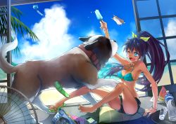 Rule 34 | 1girl, animal, antenna hair, arm up, bandaid, bandaid on knee, bandaid on leg, bare legs, bare shoulders, barefoot, bikini, bikini under clothes, black hair, blue eyes, bottle, bracelet, breasts, cameo, cellphone, cloud, cup, dark-skinned female, dark skin, day, dog, earbuds, earphones, earrings, electric fan, fang, flip-flops, food, fruit, ganaha hibiki, hair ribbon, hamster, hamuzou, highres, hjz (artemi), hoop earrings, hoshii miki, ice, idolmaster, idolmaster (classic), inumi, iphone, jewelry, long hair, magazine (object), md5 mismatch, medium breasts, one eye closed, open mouth, phone, ponytail, popsicle, resolution mismatch, ribbon, sandals, shijou takane, shoes, short hair, single shoe, size difference, sky, smartphone, solo, source larger, swimsuit, swimsuit under clothes, water bottle, watermelon, wind chime, wink