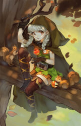 Rule 34 | 1girl, alpaca carlesi, apple, boots, braid, branch, brown eyes, cloak, commentary, dragon&#039;s crown, elf, elf (dragon&#039;s crown), english commentary, food, fruit, gloves, grey hair, highres, hood, hooded cloak, in tree, long hair, pointy ears, shorts, sitting, sitting in tree, solo, squirrel, thigh boots, thighhighs, tree, twin braids