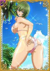 Rule 34 | 00s, 1girl, ass, beach, breasts, card (medium), curvy, female focus, green hair, huge ass, ikkitousen, kyocho chuukou, large breasts, looking at viewer, looking back, shiny skin