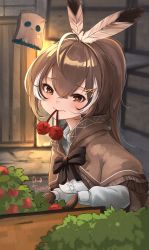 Rule 34 | 1girl, absurdres, ahoge, berry, blush, brown capelet, brown cloak, brown eyes, brown hair, bush, capelet, chest (furniture), cloak, daran9, feather hair ornament, feathers, food in mouth, friend (nanashi mumei), gloves, hair ornament, hieroglyphics, highres, hololive, hololive english, minecraft, mouth hold, multicolored hair, nanashi mumei, ponytail, ribbon, shirt, streaked hair, virtual youtuber, white shirt