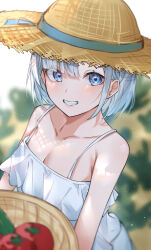 Rule 34 | 1girl, absurdres, bare shoulders, basket, blue eyes, blush, breasts, camisole, cleavage, collarbone, day, food, grey hair, hat, highres, holding, holding basket, kaga sumire, looking to the side, medium breasts, outdoors, ringozeri, short hair, smile, solo, spaghetti strap, straw hat, teeth, tomato, virtual youtuber, vspo!, white camisole