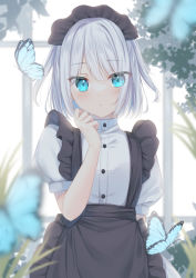 Rule 34 | 1girl, absurdres, alternate costume, apron, black apron, blue eyes, blush, bug, butterfly, closed mouth, commentary request, enmaided, highres, insect, kmr 7m, looking at viewer, maid, original, puffy short sleeves, puffy sleeves, shirt, short hair, short sleeves, solo, white hair, white shirt