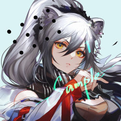 Rule 34 | 1girl, :&lt;, animal ears, arknights, black scarf, blue background, closed mouth, ez 1011, gradient hair, grey hair, hair between eyes, high ponytail, highres, jacket, long hair, long sleeves, looking at viewer, multicolored hair, ponytail, scarf, schwarz (arknights), solo, striped clothes, striped scarf, upper body, watermark, yellow eyes
