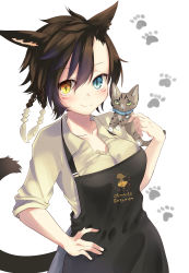 Rule 34 | 1girl, absurdres, akahaneko, animal, animal ears, april fools, apron, aqua eyes, black apron, braid, breasts, brown hair, cat, cat ears, cat tail, chocobo, cleavage, collar, collared shirt, facial mark, feather hair ornament, feathers, final fantasy, final fantasy xiv, forehead, green eyes, hair between eyes, hair ornament, hand on own hip, highres, holding, holding animal, holding cat, kitten, miqo&#039;te, multicolored eyes, paw print, red eyes, shirt, short hair, simple background, sleeves rolled up, smile, solo, tail, upper body, warrior of light (ff14), whisker markings, white background, yellow eyes, ||/