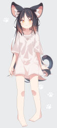 Rule 34 | 1girl, animal ear fluff, animal ears, barefoot, black hair, brown eyes, brown hair, cat ears, cat girl, cat tail, closed mouth, collarbone, commentary request, daidai ookami, full body, grey background, highres, long hair, looking at viewer, multicolored hair, original, parted bangs, shirt, short sleeves, simple background, solo, tail, two-tone hair, very long hair, white shirt