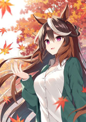 Rule 34 | 1girl, :d, animal ears, autumn leaves, breasts, brown hair, cleavage, collared shirt, dress shirt, green jacket, hair between eyes, hand up, horse ears, jacket, leaf, long sleeves, looking away, maple leaf, mauve, medium breasts, multicolored hair, open clothes, open jacket, open mouth, outdoors, purple eyes, shirt, smile, solo, streaked hair, symboli rudolf (umamusume), two-tone hair, umamusume, white hair, white shirt
