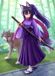 Rule 34 | 1girl, absurdres, animal ear fluff, animal ears, bamboo, bamboo forest, black footwear, black hair, blush, brown eyes, closed mouth, commentary request, day, fang, fang out, forest, hair between eyes, hair ornament, hairclip, hakama, hakama skirt, highres, holding, holding sheath, holding sword, holding weapon, iroha (iroha matsurika), japanese clothes, katana, kimono, kunoichi-chan (iroha (iroha matsurika)), long hair, long sleeves, looking at viewer, nature, original, outdoors, ponytail, purple hakama, purple kimono, purple scarf, sandals, scarf, sheath, sheathed, skirt, smile, socks, solo, sword, tabi, tail, very long hair, weapon, white socks, wide sleeves, wolf, wolf ears, wolf girl, wolf tail, x hair ornament, zouri