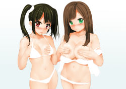 Rule 34 | 2girls, bad id, bad pixiv id, bikini, bikini pull, black hair, blush, breast hold, breasts, brown hair, clare (543), clothes pull, covering privates, covering breasts, green eyes, groin, highres, large breasts, long hair, multiple girls, navel, original, panties, pulled by self, red eyes, scrunchie, small breasts, swimsuit, twintails, underwear
