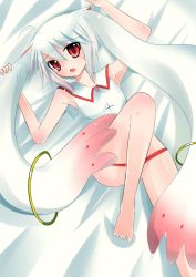 Rule 34 | 10s, 1girl, ahoge, androgynous, animal ears, arms up, bare legs, bed sheet, catstudioinc (punepuni), child, convenient leg, female focus, grey hair, highres, holding ears, kyubey, long hair, looking at viewer, mahou shoujo madoka magica, mahou shoujo madoka magica (anime), no pants, panties, panty pull, personification, red eyes, red panties, sleeveless, solo, underwear, very long hair, wing collar