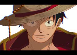 Rule 34 | 1boy, black hair, closed mouth, commentary request, facial scar, hat, highres, looking at viewer, male focus, monkey d. luffy, one piece, scar, scar on cheek, scar on face, short hair, simple background, smile, solo, straw hat, suzu (suzuran piece), v-shaped eyebrows, white background