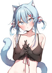 Rule 34 | 1girl, :o, animal ears, black bra, black gloves, blue eyes, blue hair, blush, bra, breasts, cat ears, cat girl, cat tail, collarbone, elbow gloves, gloves, hair between eyes, hair ornament, hairclip, highres, interlocked fingers, looking at viewer, medium breasts, navel, original, own hands together, pom pom (clothes), shin no tenpii, short hair with long locks, sidelocks, simple background, solo, stomach, tail, tail raised, two side up, underwear, upper body, white background