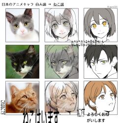 Rule 34 | 3boys, black hair, brown eyes, brown hair, cat, close-up, commentary, green eyes, grey hair, highres, kyuutake iruma, looking at viewer, multiple boys, multiple cats, open mouth, original, partially colored, photo-referenced, photo inset, serious, short hair, sketch, smile, twitter username, yellow eyes