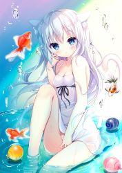 Rule 34 | 1girl, animal, animal ear fluff, animal ears, bare arms, bare shoulders, barefoot, blue eyes, blush, cat ears, cat girl, cat tail, commentary request, dress, fish, goldfish, groin, hair between eyes, highres, knee up, long hair, looking at viewer, original, parted lips, shiwasu horio, sitting, sleeveless, sleeveless dress, solo, strap slip, tail, tail raised, very long hair, water, water drop, white dress, white hair