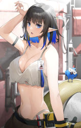Rule 34 | 1girl, absurdres, arknights, arm strap, arm up, bare arms, bare shoulders, black hair, blue eyes, blue hair, breasts, camisole, cleavage, crop top, crop top overhang, eunectes (arknights), eunectes (forgemaster) (arknights), high priest (arknights), highleg, highleg panties, highres, large breasts, looking at viewer, midriff, multicolored hair, navel, official alternate costume, open mouth, panties, pointy ears, raitho, short hair, snake tail, solo, spaghetti strap, stomach, tail, underwear, upper body