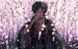 Rule 34 | 1boy, black hair, bruise, cherry blossoms, cowboy shot, fate/grand order, fate (series), finger to mouth, floral background, fu yukari, glowing, glowing eye, hair over one eye, injury, japanese clothes, kimono, koha-ace, long hair, male focus, okada izou (fate), petals, ponytail, scarf, solo, yellow eyes