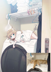 Rule 34 | 1girl, 40hara, animal ear fluff, animal ears, bell, cat ears, cat girl, cat tail, highres, jingle bell, kinako (40hara), lying, on side, original, oversized clothes, oversized shirt, photo-referenced, shirt, smile, tail, washer, washing machine