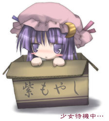 Rule 34 | 1girl, :&lt;, box, cardboard box, chibi, chibi only, female focus, hat, in box, in container, izumi yukiru, long hair, lowres, patchouli knowledge, purple eyes, purple hair, solo, touhou, translated
