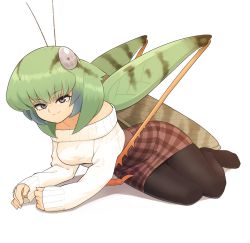 Rule 34 | 1girl, antennae, arthropod girl, bare shoulders, breasts, bug, casual, commentary, evolvingmonkey, fingernails, full body, grasshopper, grasshopper inoue, green hair, grey eyes, highres, insect, legs together, light smile, long sleeves, looking at viewer, lying, medium breasts, medium hair, monster girl, multicolored hair, no shoes, on side, original, pantyhose, plaid, plaid skirt, ribbed sweater, simple background, skirt, sleeves past wrists, solo, sweater, two-tone hair, white background
