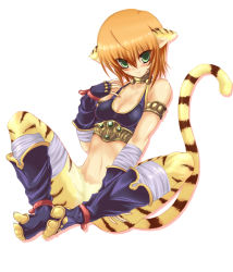 Rule 34 | 1girl, animal ears, bad id, bad pixiv id, blush, breath of fire, breath of fire ii, brown hair, cat ears, cat tail, green eyes, highres, rinpoo chuan, sato toshiya, short hair, solo, tail