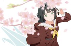 Rule 34 | 1girl, black hair, blunt bangs, blunt ends, blurry, blurry foreground, brown dress, cherry blossoms, closed mouth, dam (kidam6), dress, falling petals, flower, flower knot, from above, green eyes, hair flower, hair ornament, hasu no sora school uniform, highres, holding, holding own hair, light smile, link! like! love live!, logo, long sleeves, looking at viewer, love live!, medium dress, momose ginko, neckerchief, petals, pleated dress, sailor collar, sailor dress, school uniform, short hair, solo, virtual youtuber, white background, white sailor collar, winter uniform, yellow neckerchief
