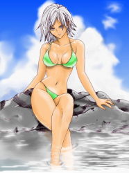 Rule 34 | 1girl, bikini, blue eyes, breasts, christie (doa), cleavage, cloud, day, dead or alive, hybrid cat, large breasts, ocean, short hair, sky, swimsuit, tecmo, wet, white hair