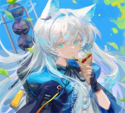 Rule 34 | 1girl, animal ear fluff, animal ears, arknights, black gloves, black ribbon, blue background, blue eyes, blue jacket, cat ears, closed mouth, commentary, dress, eating, english commentary, fingerless gloves, food, food on face, gloves, hair between eyes, hand up, highres, holding, holding food, hood, hood down, hooded jacket, jacket, licking lips, long hair, neck ribbon, open clothes, open jacket, ribbon, rosmontis (arknights), solo, spacelongcat, tongue, tongue out, very long hair, white dress, white hair