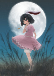 Rule 34 | 1girl, animal ears, barefoot, black hair, bloomers, blush, rabbit ears, carrot, carrot necklace, dress, female focus, full moon, highres, inaba tewi, jewelry, moon, necklace, pendant, red eyes, short hair, solo, touhou, underwear, ushishi (hakka gahou), usisi (geco-geco)