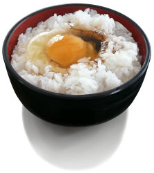 Rule 34 | bowl, close-up, egg, food, food focus, highres, nanatsu772, nanatsuya, no humans, original, photorealistic, realistic, rice, rice bowl, still life