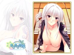 Rule 34 | 1girl, atelier kaguya, black panties, blouse, breasts, choco chip, game cg, hanging breasts, kagami tsukimi, large breasts, nipples, open clothes, open shirt, panties, red eyes, sara sara sasara, shirt, tattoo, underwear, wallpaper, white hair