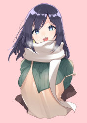 Rule 34 | 1girl, ajifry39, black eyes, blue eyes, brown dress, cropped torso, dress, green sweater, highres, kantai collection, long hair, looking at viewer, official alternate costume, pink background, ribbed sweater, scarf, simple background, smile, solo, souryuu (kancolle), strap slip, sweater, white scarf