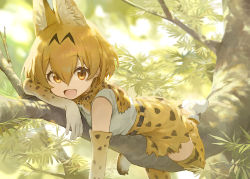 Rule 34 | 1girl, :d, animal ear fluff, animal ears, boots, bow, bowtie, branch, commentary, day, elbow gloves, extra ears, gloves, hair between eyes, head rest, in tree, kemono friends, looking at viewer, modare, nature, open mouth, outdoors, print bow, print bowtie, print gloves, print neckwear, print thighhighs, serval (kemono friends), serval print, serval tail, smile, solo, tail, thighhighs, traditional bowtie, tree, white footwear, yellow eyes