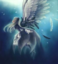 Rule 34 | 00s, 1girl, closed eyes, feathers, long hair, rozen maiden, silver hair, solo, suigintou, toshi hiroshi, wings