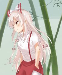 Rule 34 | 1girl, bamboo, blush, bow, breasts, commentary request, cowboy shot, fujiwara no mokou, green background, hair bow, hands in pockets, long hair, medium breasts, ofuda, pants, raki (for03ge), red eyes, red pants, shirt, short sleeves, sidelocks, silver hair, smile, solo, standing, touhou, very long hair, white bow, white shirt, wing collar