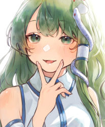 Rule 34 | 1girl, absurdres, bare shoulders, blush, breasts, collared shirt, commentary request, detached sleeves, fingernails, frog hair ornament, green eyes, green hair, grey shirt, hair between eyes, hair ornament, hair tubes, hand on own face, hand up, highres, kochiya sanae, light, long fingernails, long hair, long sleeves, looking at viewer, medium breasts, nail polish, open mouth, pink nails, shirt, simple background, smile, snake hair ornament, solo, teruteru (teru teru), tongue, touhou, upper body, v, white background, wide sleeves
