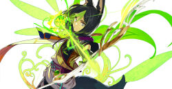 Rule 34 | 1boy, aiming, animal ears, black hair, bow (weapon), closed mouth, commentary request, flower, fox boy, fox ears, fox tail, genshin impact, gloves, green hair, holding, holding bow (weapon), holding weapon, looking at viewer, male focus, medal, multicolored hair, pako (pakosun), simple background, solo, tail, tassel, tighnari (genshin impact), vision (genshin impact), weapon, white background, yellow flower